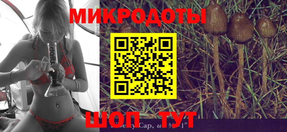 Галлюциногенные грибы Magic Shrooms  Вход с VPN  Северск 
