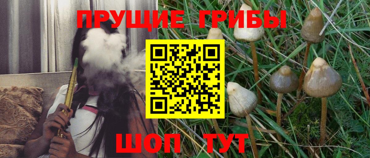 Галлюциногенные грибы GOLDEN TEACHER Северск